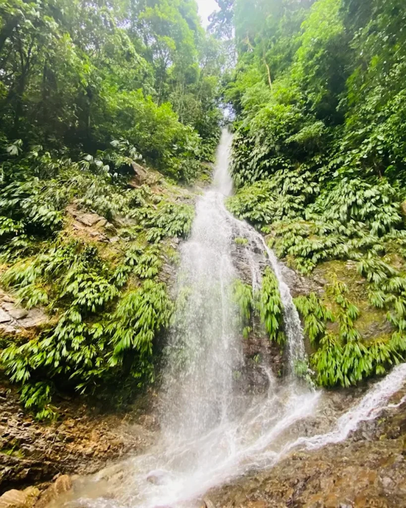 naturaleza_tour_caqueta_tierras_munay_1